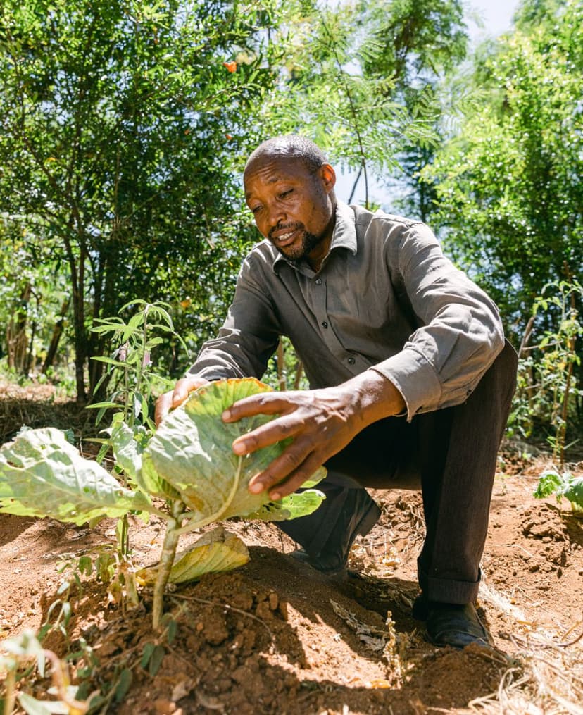 Reforestation partner site