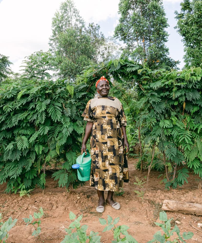 Reforestation partner site