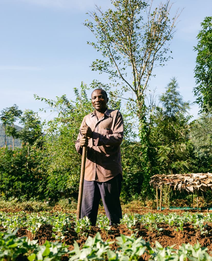 Reforestation partner site