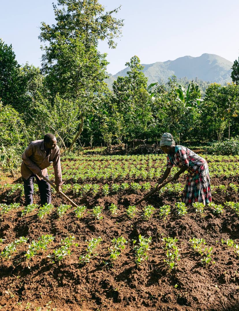 Reforestation partner site