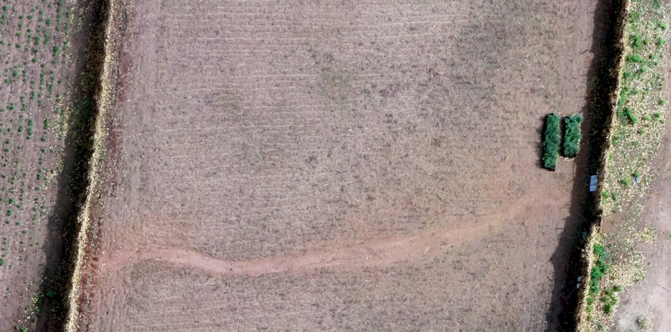 Barren, deforested land under Big AI